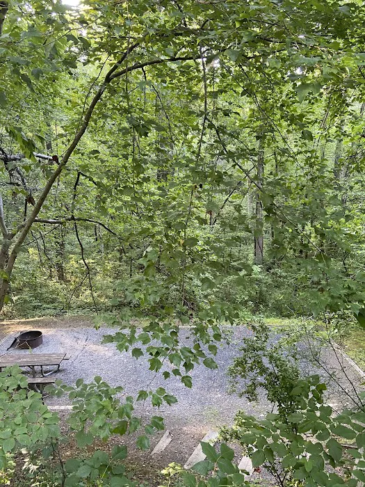 Campsite #35 Picture 3