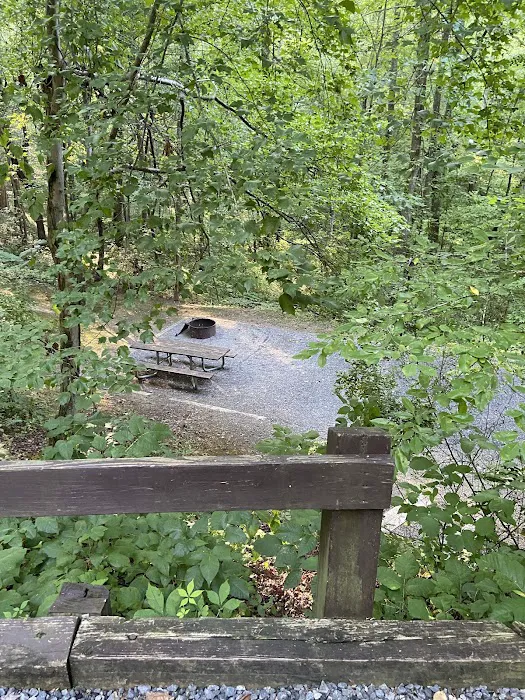 Campsite #35 Picture 2