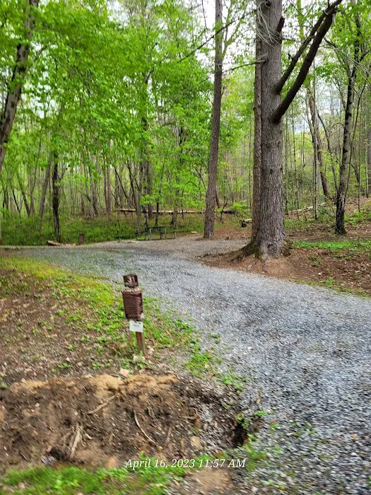 Morganton Point Campground Picture 2