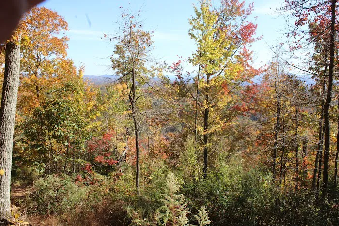 Morganton Point Campground Picture 7