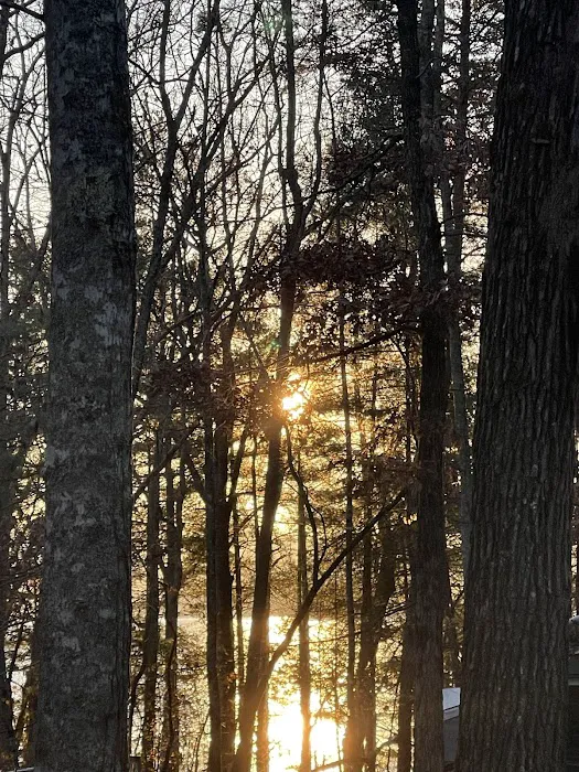 Morganton Point Campground Picture 10