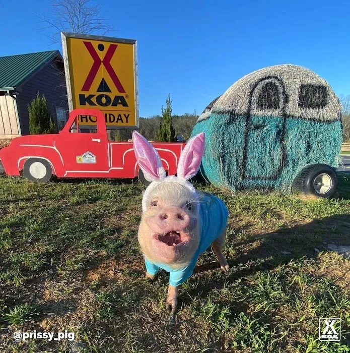 Blue Ridge / Toccoa River KOA Holiday Picture 7