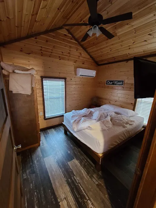 Blue Ridge / Toccoa River KOA Holiday Picture 4