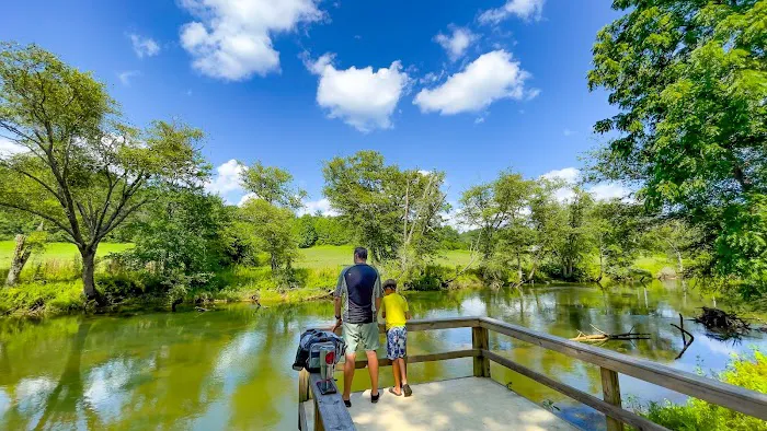 Blue Ridge / Toccoa River KOA Holiday Picture 2