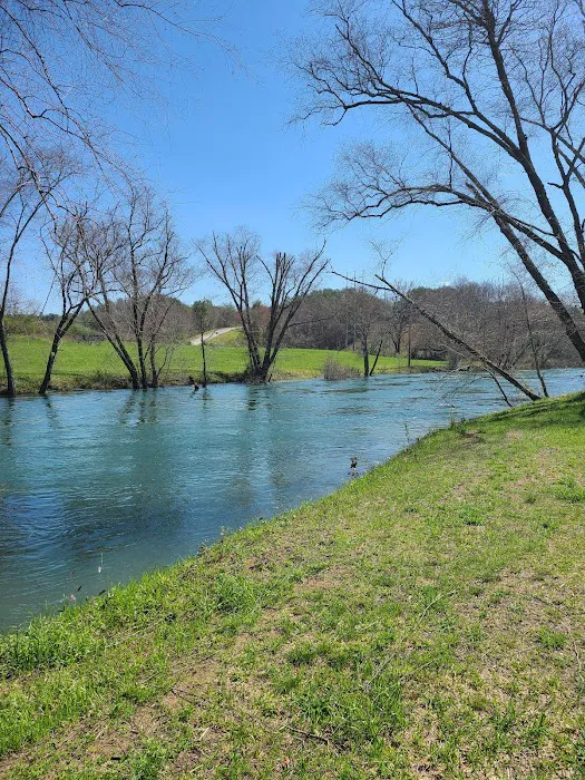 Blue Ridge / Toccoa River KOA Holiday Picture 1