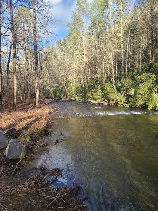 Tumbling Creek Campground Picture 2