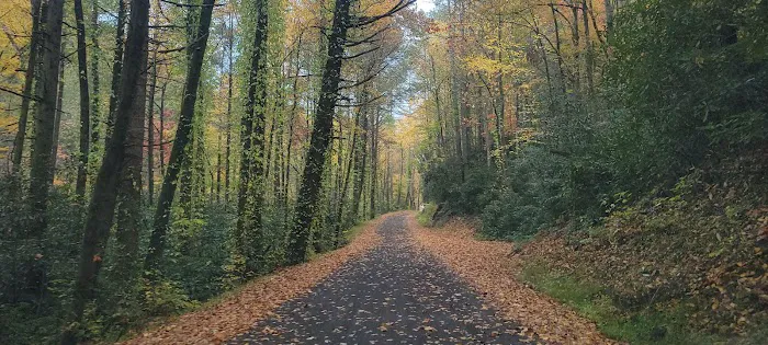 Tumbling Creek Campground Picture 3