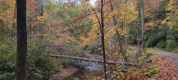 Tumbling Creek Campground Picture 5