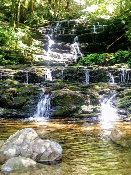 Cottonwood Patch Campground (Horse Camp) Picture 1