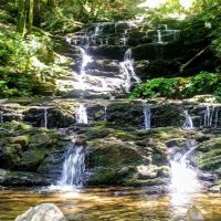 Cottonwood Patch Campground (Horse Camp) ico