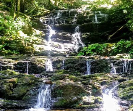 Cottonwood Patch Campground (Horse Camp)