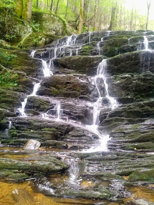 Cottonwood Patch Campground (Horse Camp) Picture 2