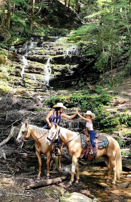 Cottonwood Patch Campground (Horse Camp) Picture 6