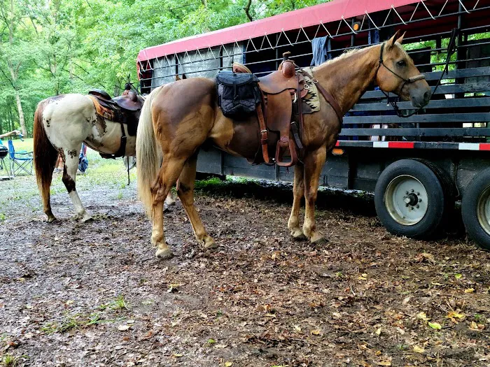 Cottonwood Patch Campground (Horse Camp) Picture 3