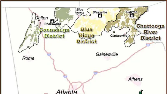 Cottonwood Patch Campground (Horse Camp) Picture 10