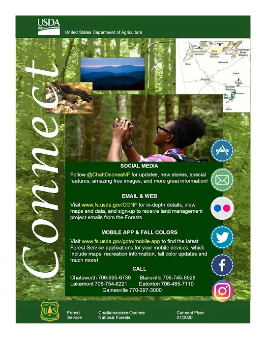 Cottonwood Patch Campground (Horse Camp) Picture 9