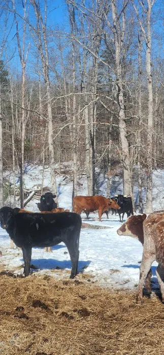 White Oak Ranch TN Picture 1