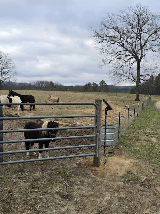 White Oak Ranch TN Picture 5