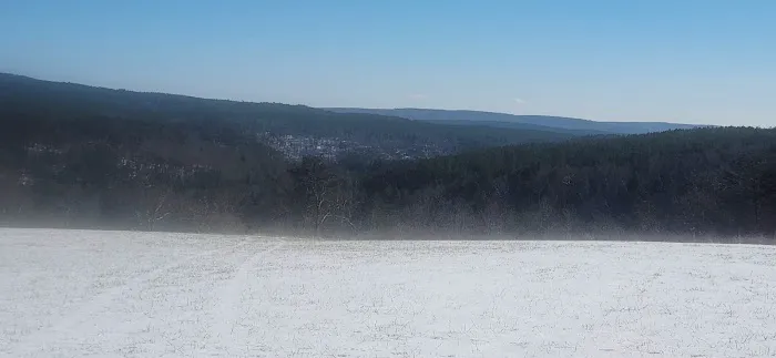 White Oak Ranch TN Picture 7
