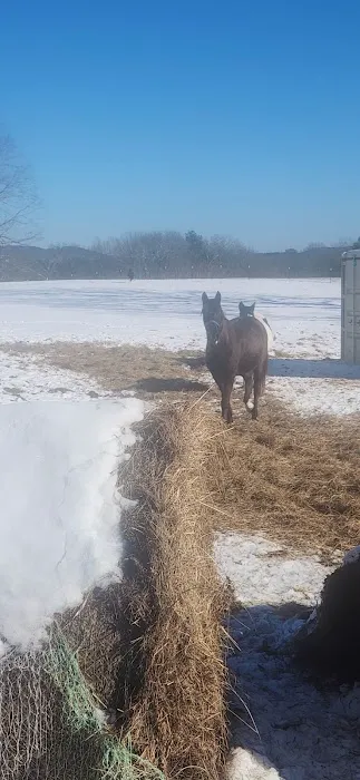White Oak Ranch TN Picture 2