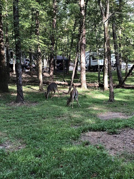 Cane Creek Camp Picture 2