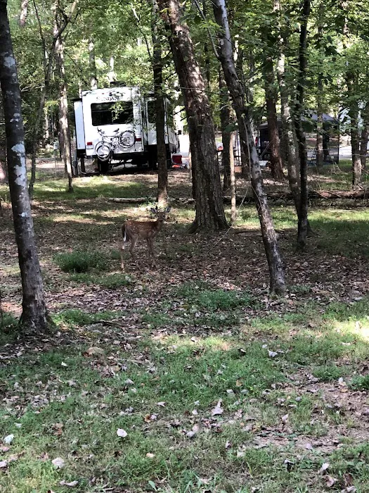 Cane Creek Camp Picture 3