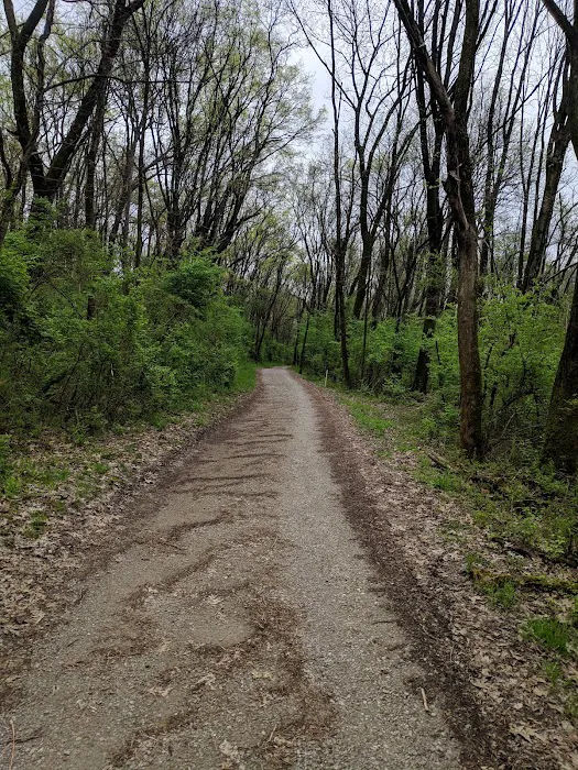 Williams Island Primitive Campsite Picture 6
