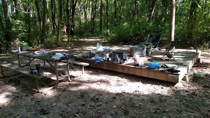 Williams Island Primitive Campsite Picture 8