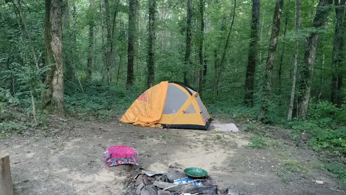 Hunter check station campground Picture 4