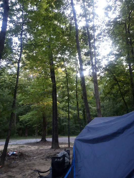 Hunter check station campground Picture 7