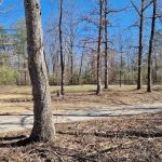 Hunter check station campground