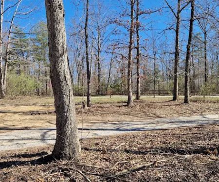 Hunter check station campground