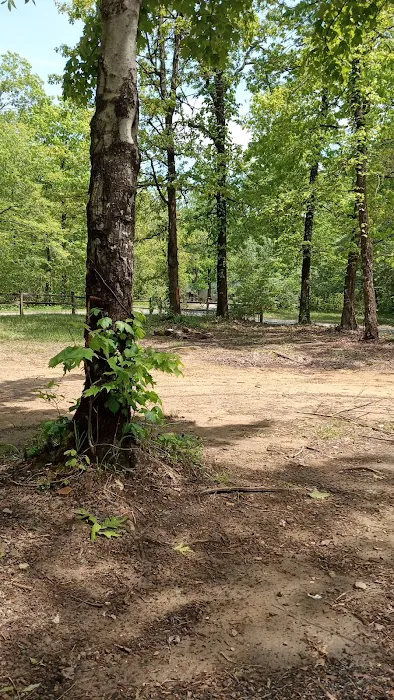 Hunter check station campground Picture 6