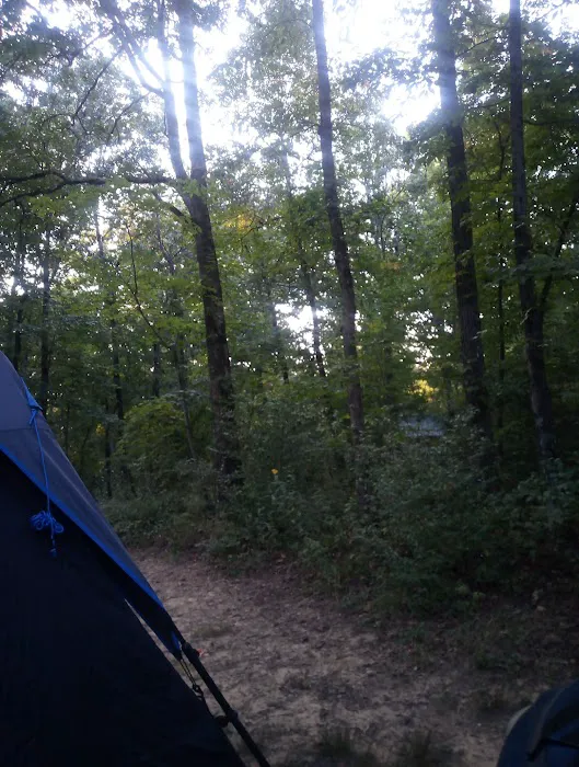 Hunter check station campground Picture 9