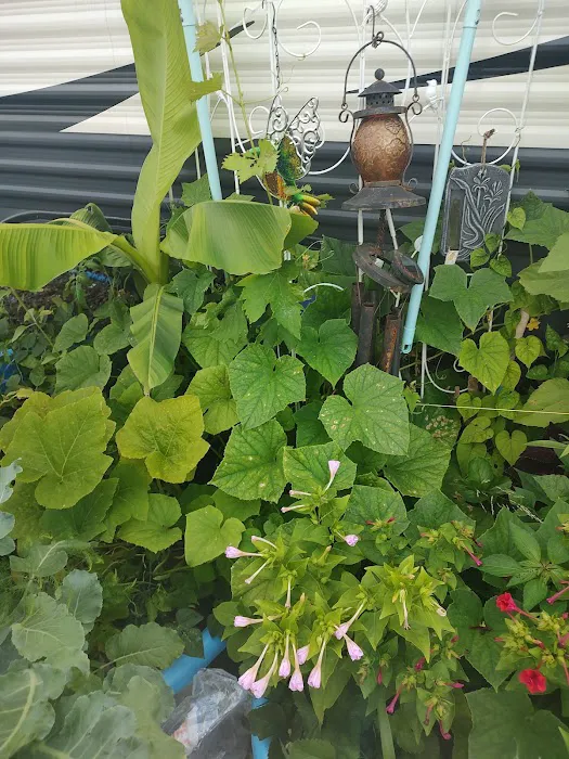 Indian Springs Campgrounds Picture 10