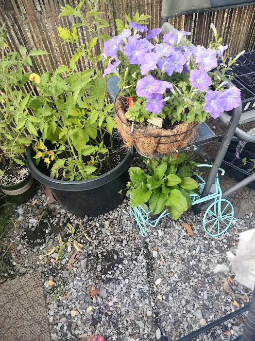 Indian Springs Campgrounds Picture 5