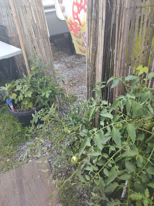 Indian Springs Campgrounds Picture 7