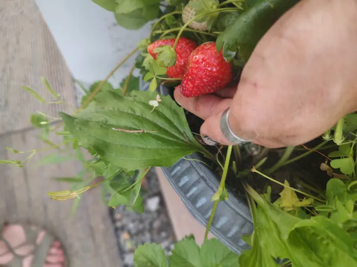 Indian Springs Campgrounds Picture 3