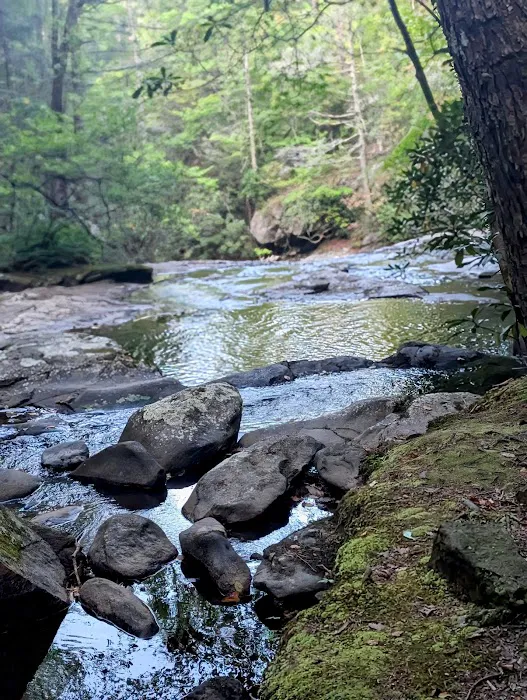Hickey Gap Campground Picture 2