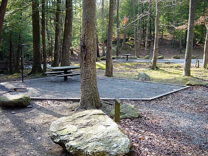 Hickey Gap Campground Picture 7
