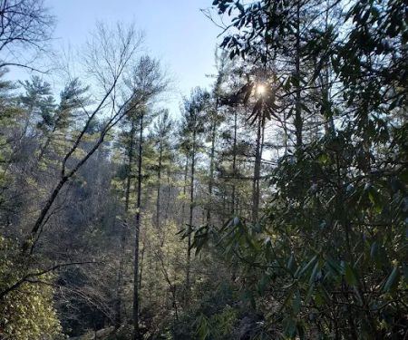 Hickey Gap Campground