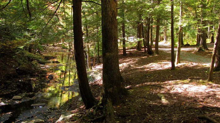 Hickey Gap Campground Picture 6