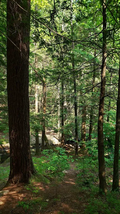 Hickey Gap Campground Picture 9