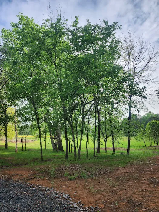 Deer Valley RV Park Picture 7