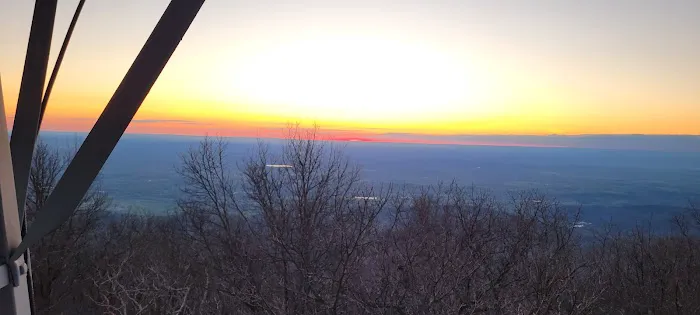 Lake Conasauga Overflow Campground Picture 4