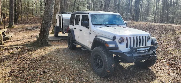 Lake Conasauga Overflow Campground Picture 7