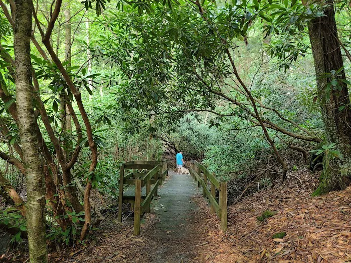 Lake Conasauga Campground Picture 3