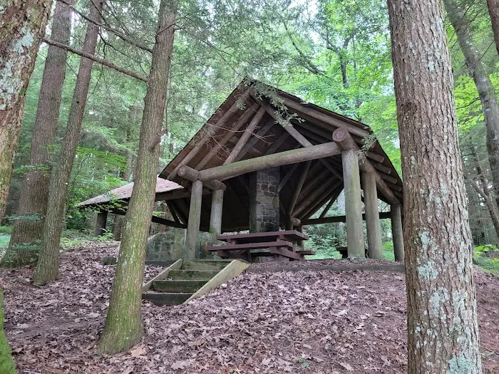 Lake Conasauga Campground Picture 2