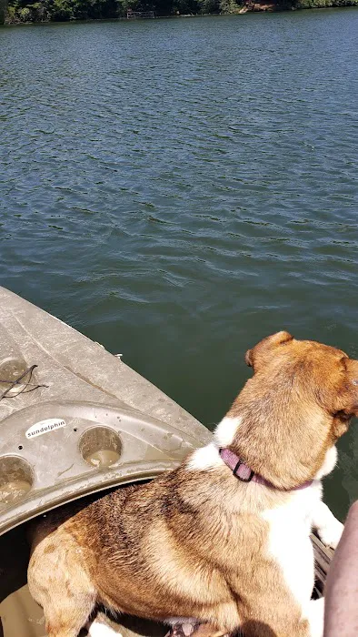 Lake Conasauga Campground Picture 1