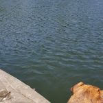 Lake Conasauga Campground